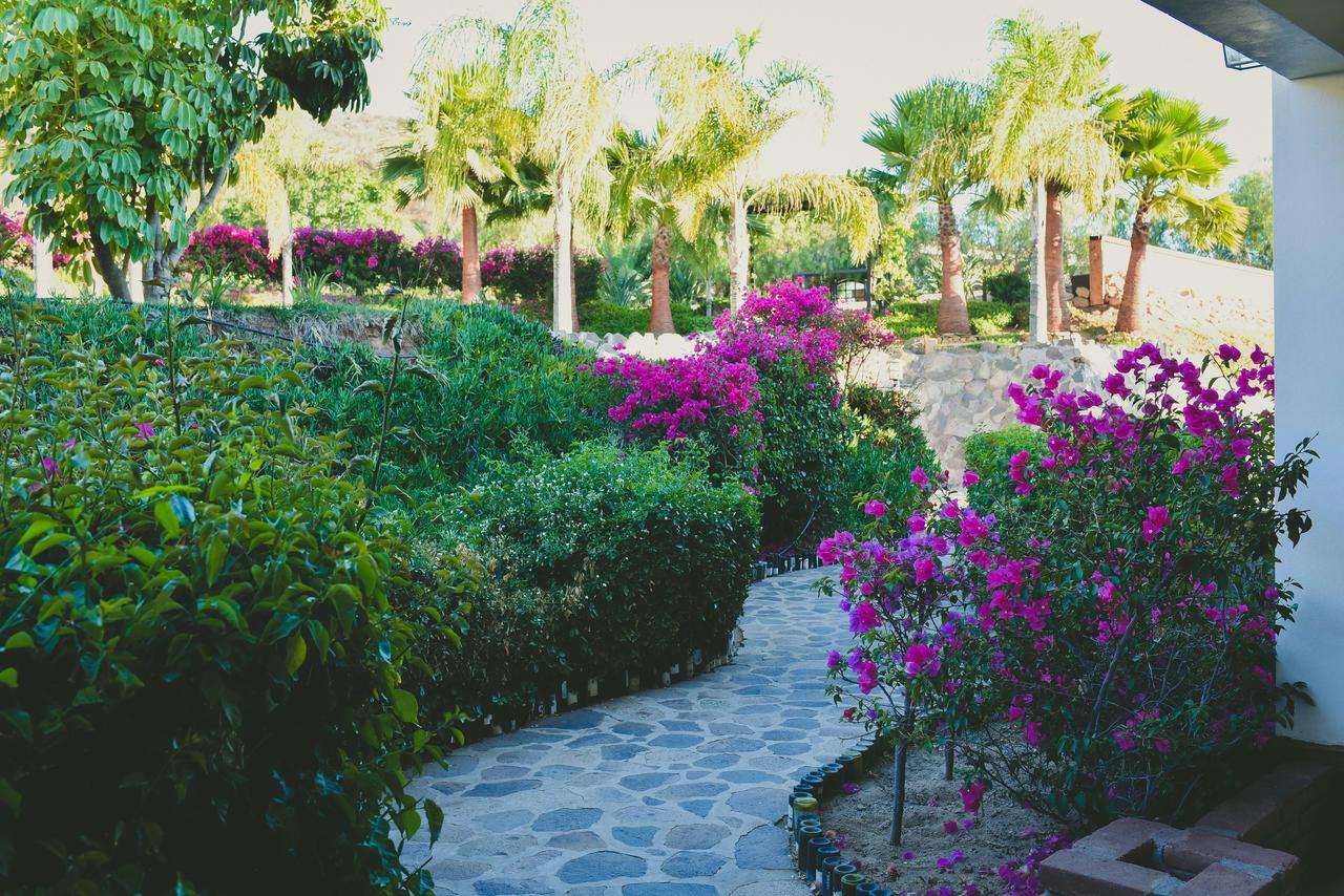 Hacienda Guadalupe Hotel Extérieur photo