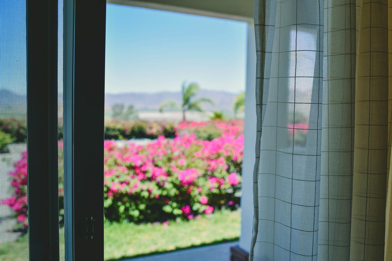 Hacienda Guadalupe Hotel Extérieur photo